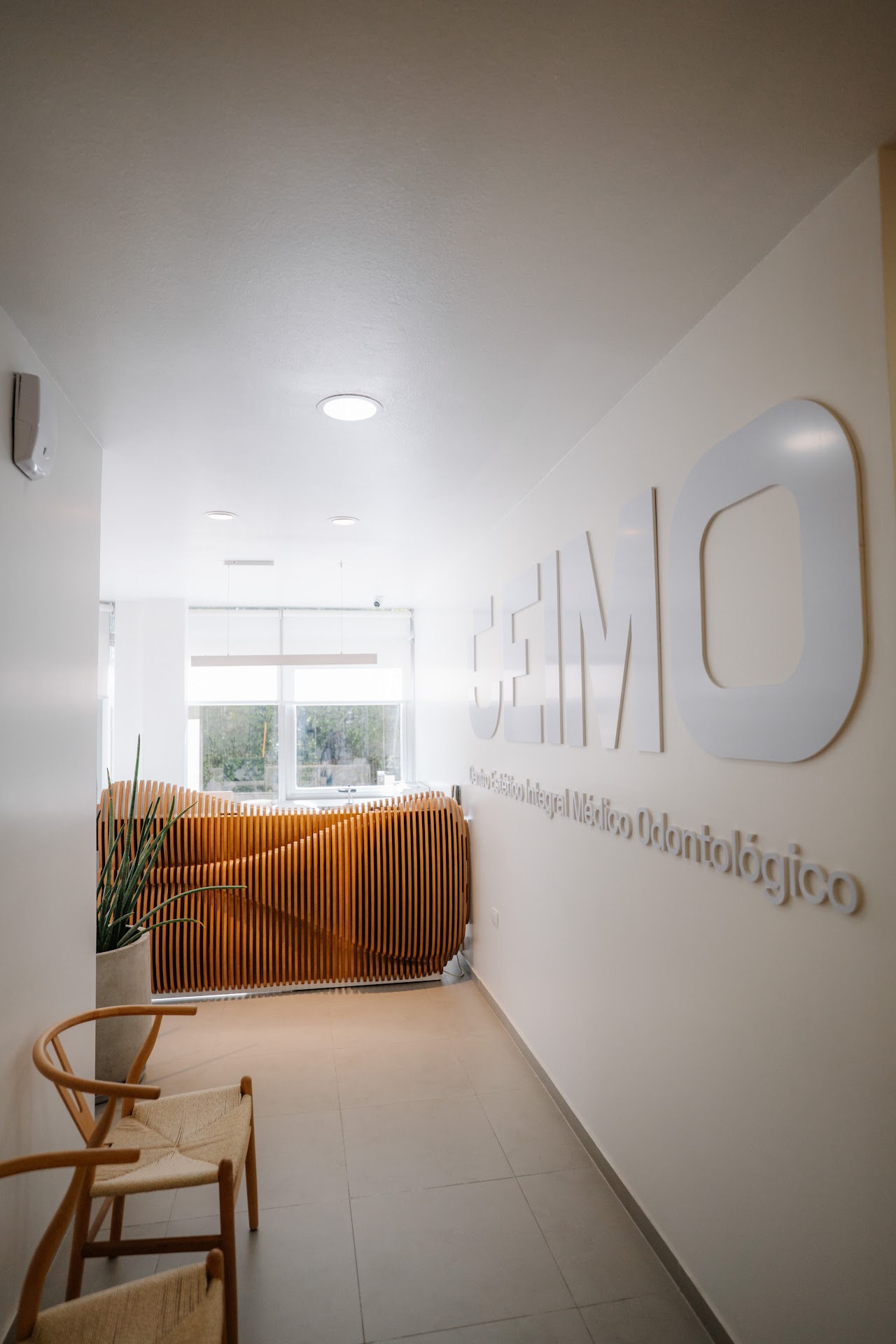 Sala de Espera y Recepción climatizada con panel de madera y diseño escandinavo
